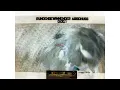v7 MeTrickZ HD get's FAME ! .. Episode1.