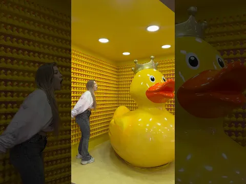 😂