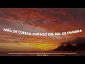 Download Lagu La Chica de Ipanema - Jarabe de Palo [Letra]
