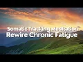 Chronic Fatigue Relief Somatic Tracking for Fatigue Gentle Nervous System Reset