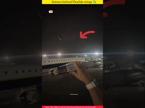 Science Behind Flexible wings ✈