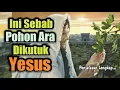 Download Lagu Rupanya ini maknanya pohon Ara dikutuk.