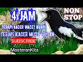 Download Lagu Terapi KACER MACET BUNYI dan KACER MUDA HUTAN