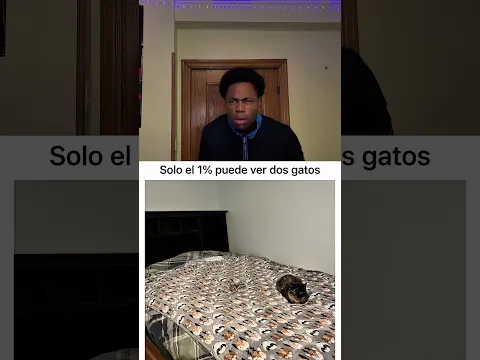 Solo el 1 %, puede ver dos gatos