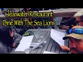 Clearwater Restaurant Newport Oregon Dine With the Sea Lions