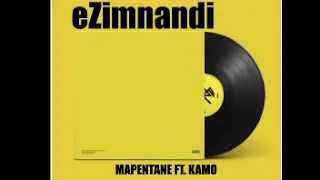 mapentane ft kamo ezimnandi