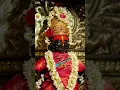 विठ्ठल माझा माझा #devotionalsongs #jayhariviththal #hindufestival #pandharpur