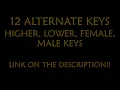 The Way I Love You Karaoke - Michal Leah Instrumental Lower Higher Male Original Key