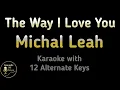 Download Lagu The Way I Love You Karaoke - Michal Leah Instrumental Lower Higher Male Original Key