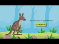 Let s Learn about Wild Kangaroo Amazing Facts and Behaviors Wild animals for Kids