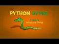 Cinema 4D Python Bytes Tuples - What are They