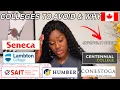 The COLLEGES to AVOID when STUDYING in CANADA as an International Student