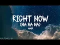 Download Lagu Aamir - Right Now (Na Na Na) - Lyrics (Akon)