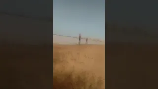 نغنغا دندنها
