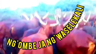 LUPEMBE LIMBU FT SELEKALI NZIKUZAKE VIDEO 2024  LUPEMBE LIMBU FT SELEKALI NZIKUZAKE VIDEO 2024