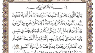 سورة الممتحنة محمد صديق المنشاوي 