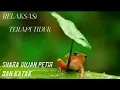 Download Lagu TERAPI / RELAKSASI SUARA HUJAN, PETIR DAN KATAK PENGANTAR TIDUR SEMAKIN NYENYAK