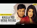 Lagu Khula Hai Mera Pinjra | Joru Ka Ghulam | Lyrical Video | Kumar Sanu | Alka Yagnik Govinda | Twinkle
