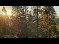 Hiking Mount Elbert highest point in Colorado Via North Mount Elbert Trail on August 22 2023