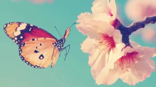 موسيقا تحفيزية لزيادة الشعور بالنشاط والعمل الجيد Motivational Music To Increase The Se  موسيقا تحفيزية لزيادة الشعور بالنشاط والعمل الجيد Motivational Music To Increase The Se