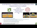 CC3D WS 5 3 3 Lung Adenocarcinoma Model Connecting CC3DML and Python James Sluka August 2 2024