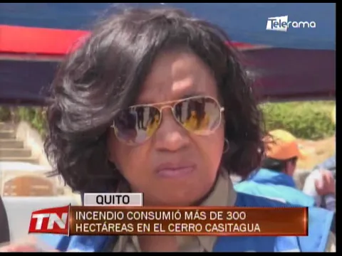 Incendio consumió más de 300 hectáreas en el cerro Casitagua