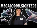 JUNKSPIRACIES Megalodon is NOT still alive Lindsay Nikole