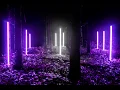 Rain Dancing with the Trees // Water - Quiet Bison