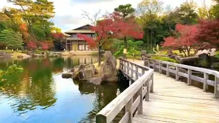 beautiful nature status nature whatsapp status 