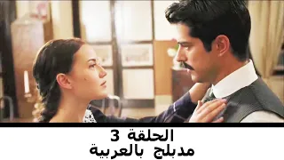 مدبلج بالعربية الحلقة 3 طائر النمنمة 