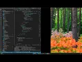 Flutter Wireless Debugging