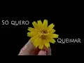 Download Lagu Só quero queimar - Jhonas Serra (Cover Joshua Savino) - #Libras