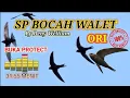 Download Lagu Sp Bocah Walet Ori  Link di deskripsi