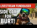 Download Lagu Help Burt the Biker Dog! He needs us.