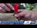 How the dating scene has changed on Florida s Gulf Coast