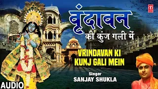  vrindavan ki kunj gali mein i sanjay shukla i new krishna bhajan audio song