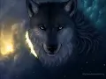 Lobo Domesticado - Tommy Olivencia