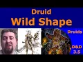D D 3 5 Druid Wild Shape A Deeper Dive