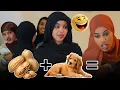 Lagu SHEEG EMOJIGAAN WAA QOF CAAN AH OO HEL LACAG ADIGANA ISKU DAY