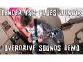 Fender Blues Junior Wine Red Amp Overdrive Demo