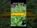Lagu Daun Kemangi Bisa Perbesar MR. P 😱😱#shorts #health #herbal