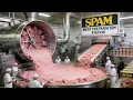 Lagu Inside the SPAM Factory: How Millions of Cans Are Made at Massive Scale