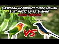 Download Lagu MASTERAN KOMBINASI LOVEBIRD VS MURAI BATU || GACOR SUPER AMPUH COCOK BUAT NGISI SUARA BURUNG