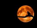 Download Lagu 8 Night Sound Effects | Royalty Free | No copyright | Copyright Free Ambient | Night Sound Effects
