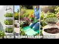 15 Dollar Tree Garden Hacks NOBODY Talks About In 2025 Transform Your Garden