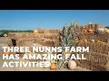 Three Nunns Farm Has Amazing Fall Activities