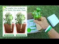 Self-Watering Globes 4-Pack Amazon -