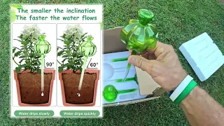 Self-Watering Globes 4-Pack Amazon -