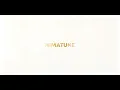 光の中へ/Into The Light - Kessoku Band (Bocchi The Rock) [Romaji, English Lyrics]
