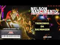 Download Lagu Trenzinho da s4c4nagen - Nelson Nascimento 
